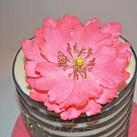 Elegant Stripe Cake with Sugar Poppy! 