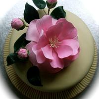 Camellia flower cake