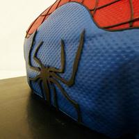 Spiderman 2013