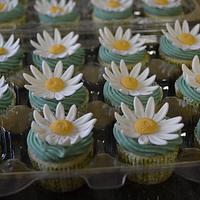 Daisy babyshower cupcakes 