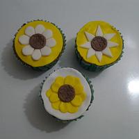 several cupcakes