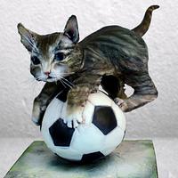 kitten soccer player
