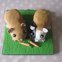 Cookie & Ginger - Guinea Pigs cake