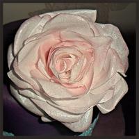 Wafer paper rose and cake lace