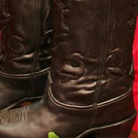 3D Cowboy Boots