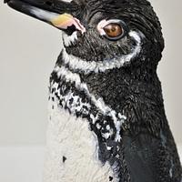 Meet Benji Polo - Galápagos Penguin - Bakers Unite to Fight. 