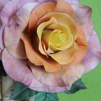 Roses-Bouquet