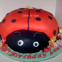 Pretty Ladybird Cake
