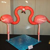 The Love of 2 Red Flamingos