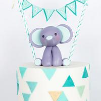 Elephant themed baby first birthday