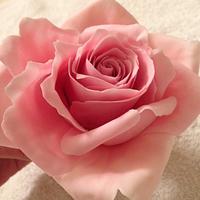 Antique Pink Icing rose