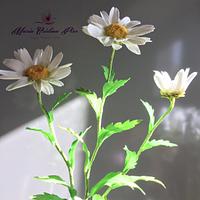 My daisies...Cold porcelain 