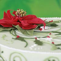 Christmas flower - Poinsettia 