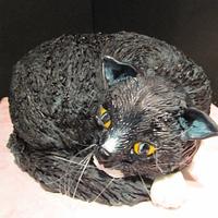 black cat cake 