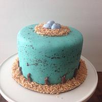 Robins egg cake Robins egg cake