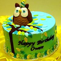 Owl First Birthday