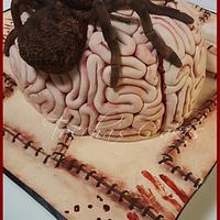 Brain Spider Cake