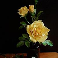 Yellow rose and bougainvillea