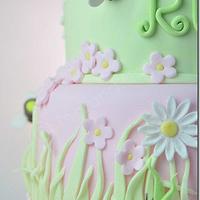 1st Birthday Little Girl Cake Ladybird / Bug Themed 