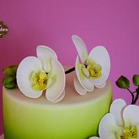 Spring Wedding Cake with moth orchids