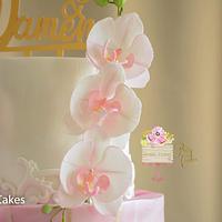 Moth Orchid simple elegant Cake 