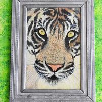 Reflection of a tiger Reflection of a tiger