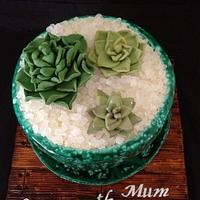 Potted succulent 60th cake.