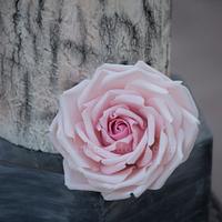 Chalkboard Roses Cake