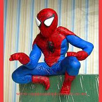 Spiderman ready to jump off my next cake!!!