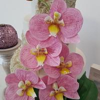 Wedding cake with sugar orchid.