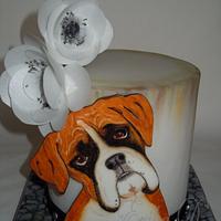 cake with boxer