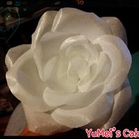 rice paper rose