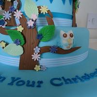 Owl Christening Cake