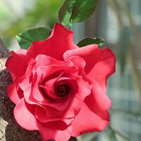 Flower paste Red Garden Rose!