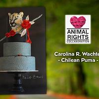  Chilean Puma Animal Rights colaboration 2016  hosted By Tartas Imposibles