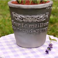 Flowerpot with lavenders