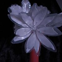 Crystal Flowers