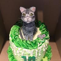 OLIVER - SCULPTED CAT CAKE