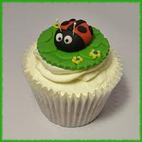 Little Bug Cupcakes