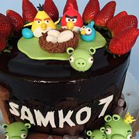 Angry birds drip cake 