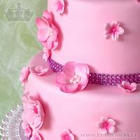 Pink cake for little Sandra