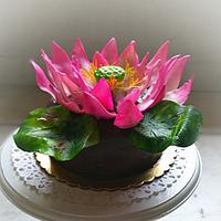 Lotus cake Lotus cake
