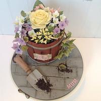 Birthday plater cake 