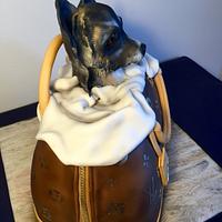Dog in handbag