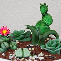 Flowerpot with cactus
