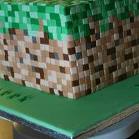 Minecraft Grass block