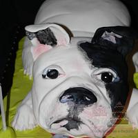 french bulldog cake