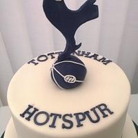 Tottenham Hotspur 40th birthday cake