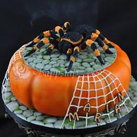 Spider Cake for birthday