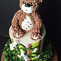 Curly fur Teddy Bear cake